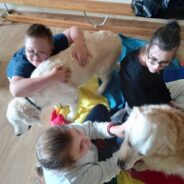 Dogoterapia i hipoterapia w naszej szkole