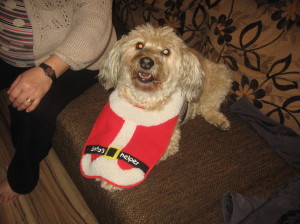 1980-01-01 00.01.47-2